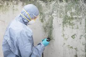 Best Mold Remediation for Healthcare Facilities in Edgewood, TX